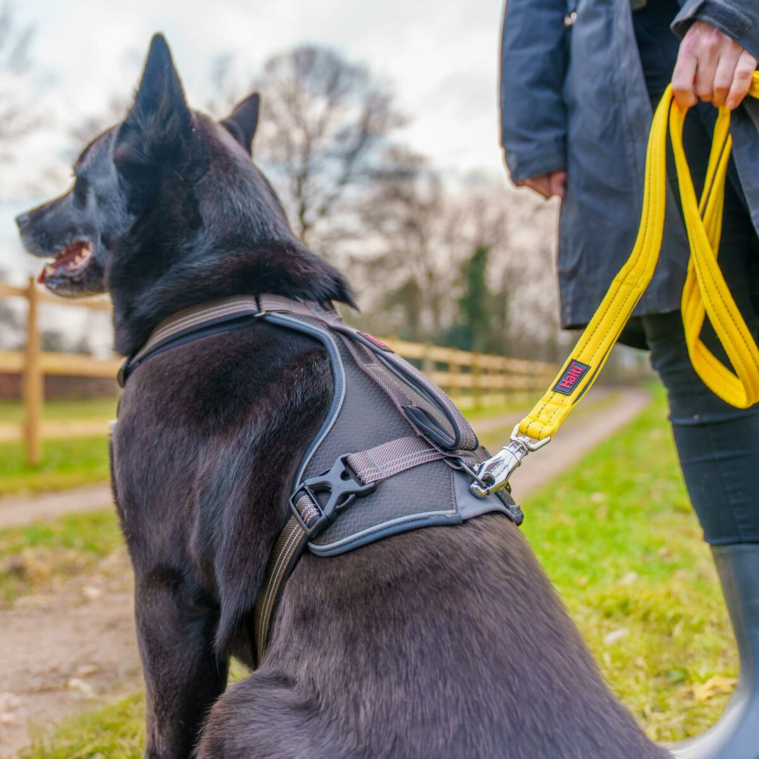 V3HD31928C775F96CC44B7231A1301502AAR7140554P3