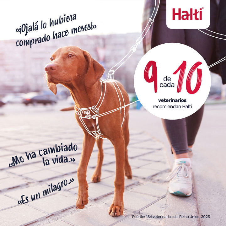 V3H41500D026F756954846F3C136A82B3BDR7523835P10