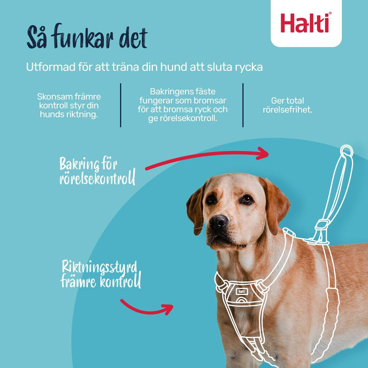 V3HB5E5475A6AFC2F007E24B347A2D06FDFR7523803P2