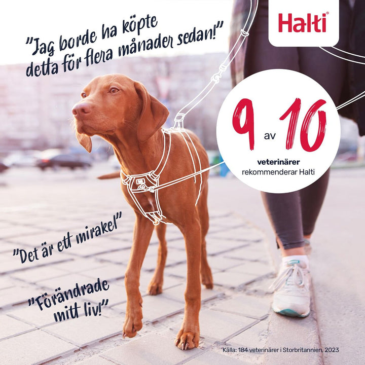 V3HC7934D97F1F93E96862C8E1205E24865R7523807P6