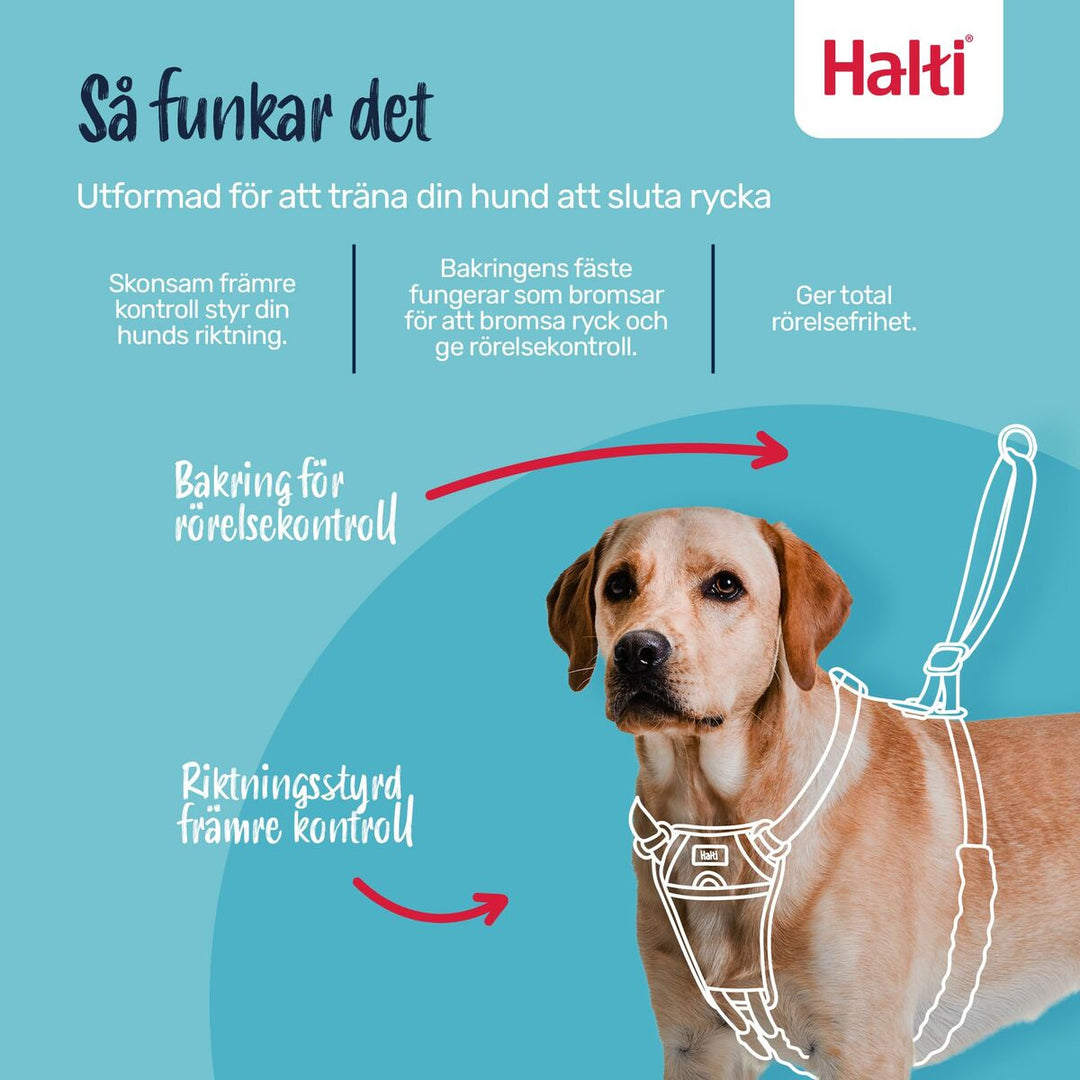 V3H1FDD8BD5C38BD564A1BF1B488A1B05F2R7523522P2