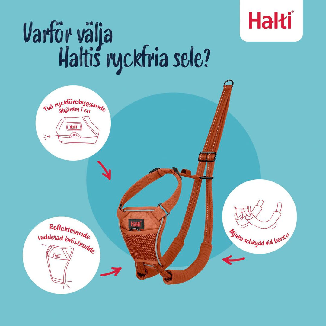 V3HB1D9C33C8710468E79CE9CF1F225E000R7523523P3