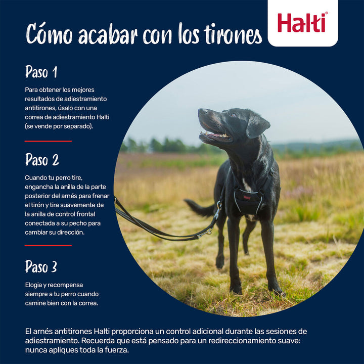 V4HADBCA01F61A6CB5B44263020AF5BB811R7523697P3