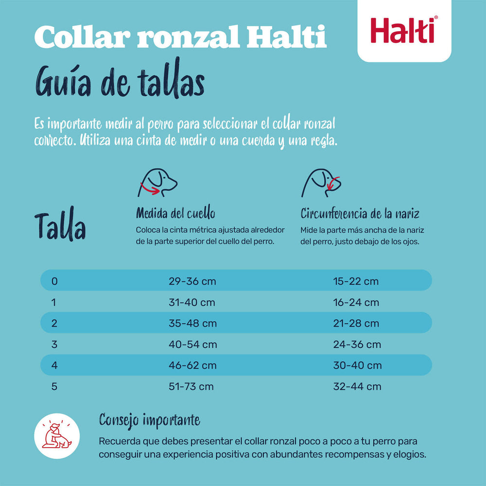 V3H9B7BC6F7D55A672791D4E6038C76D746R7523931P2