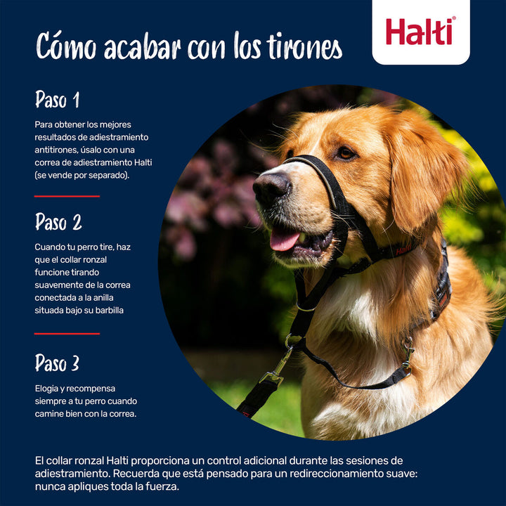 V3H39E5AA3969461A7EFAE154091D8D7B61R7523881P8