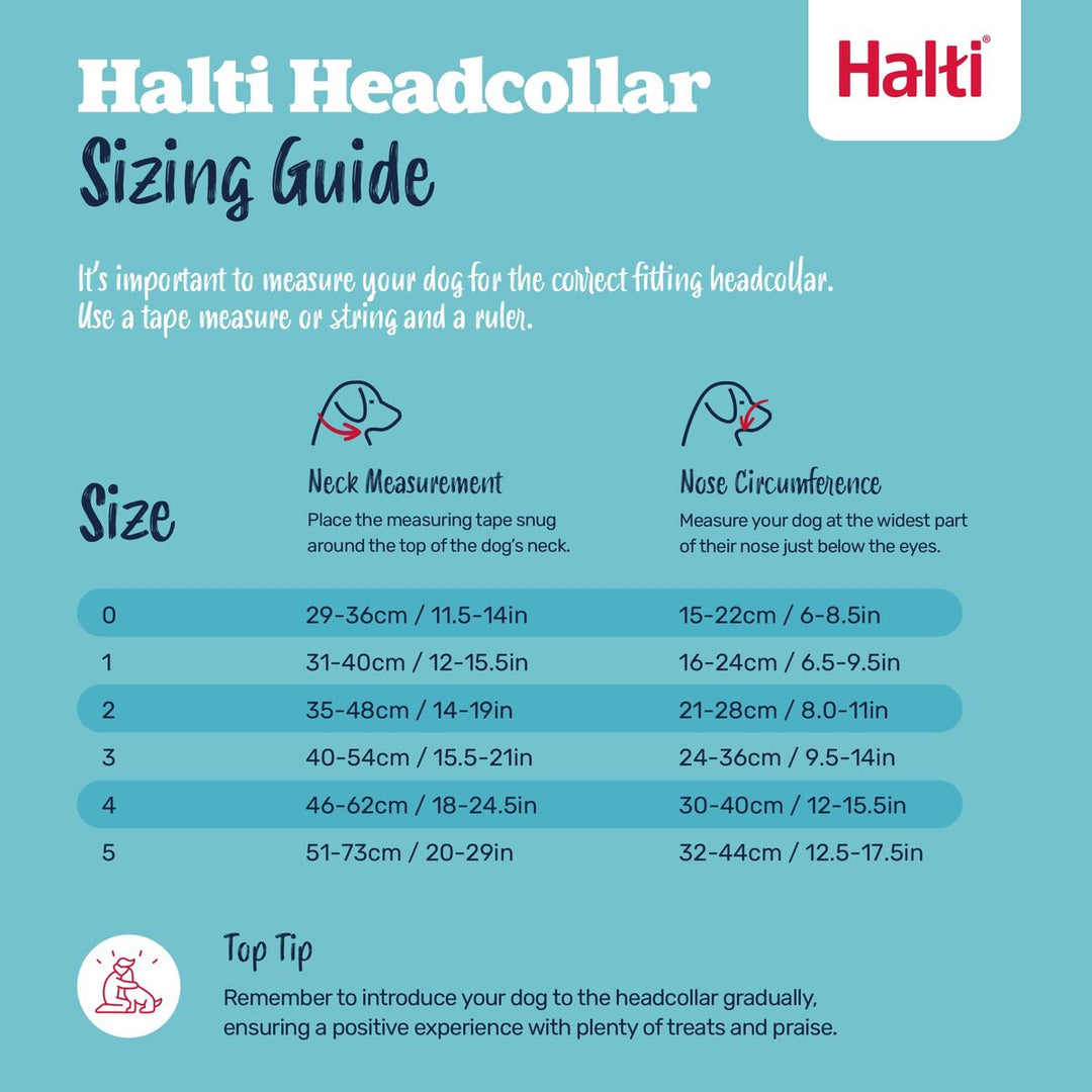 V3HDA350ACC8B20AE87C056F5E4879796CFR7523865P5