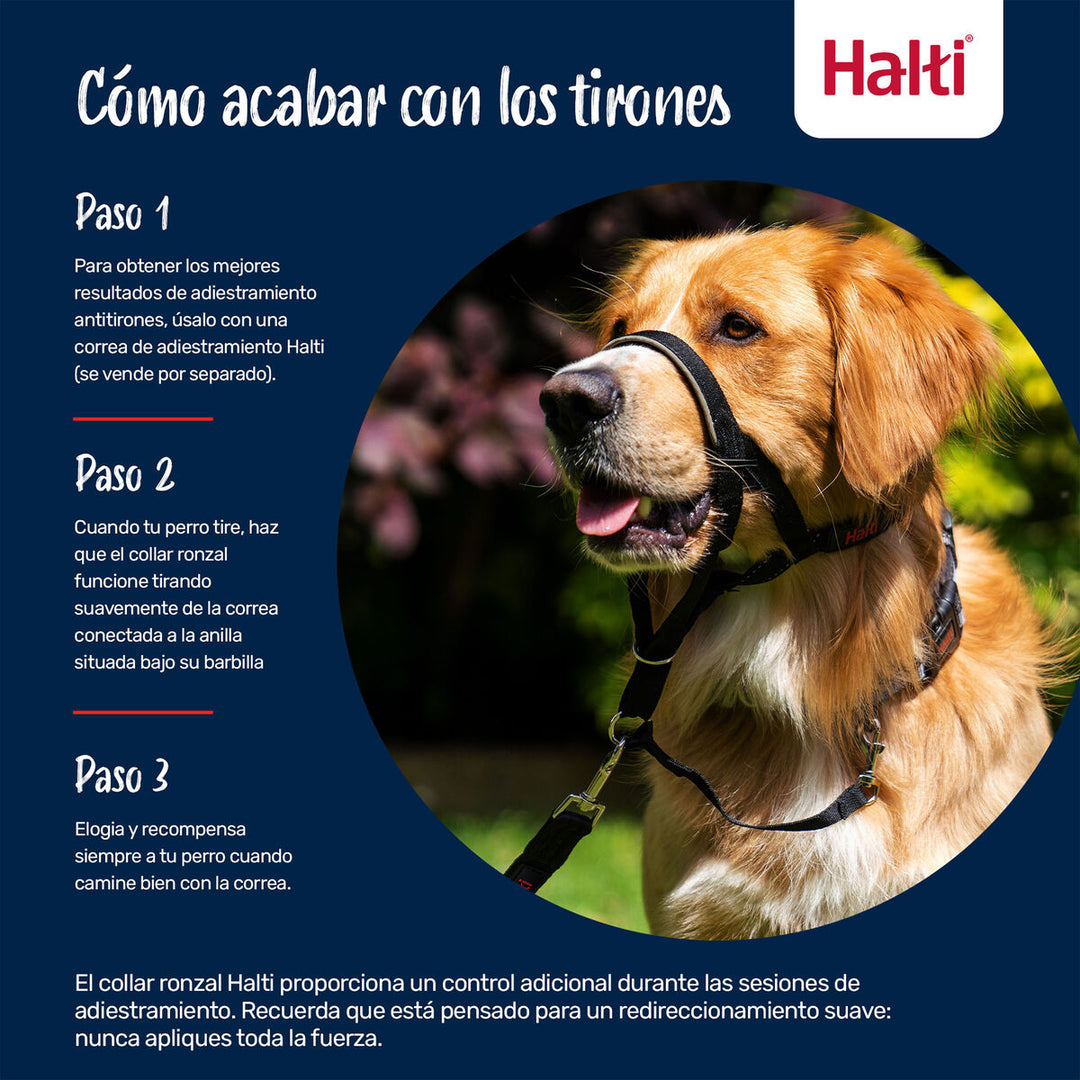 V3H70A58089977564F6DF96329D157363F8R7523871P8