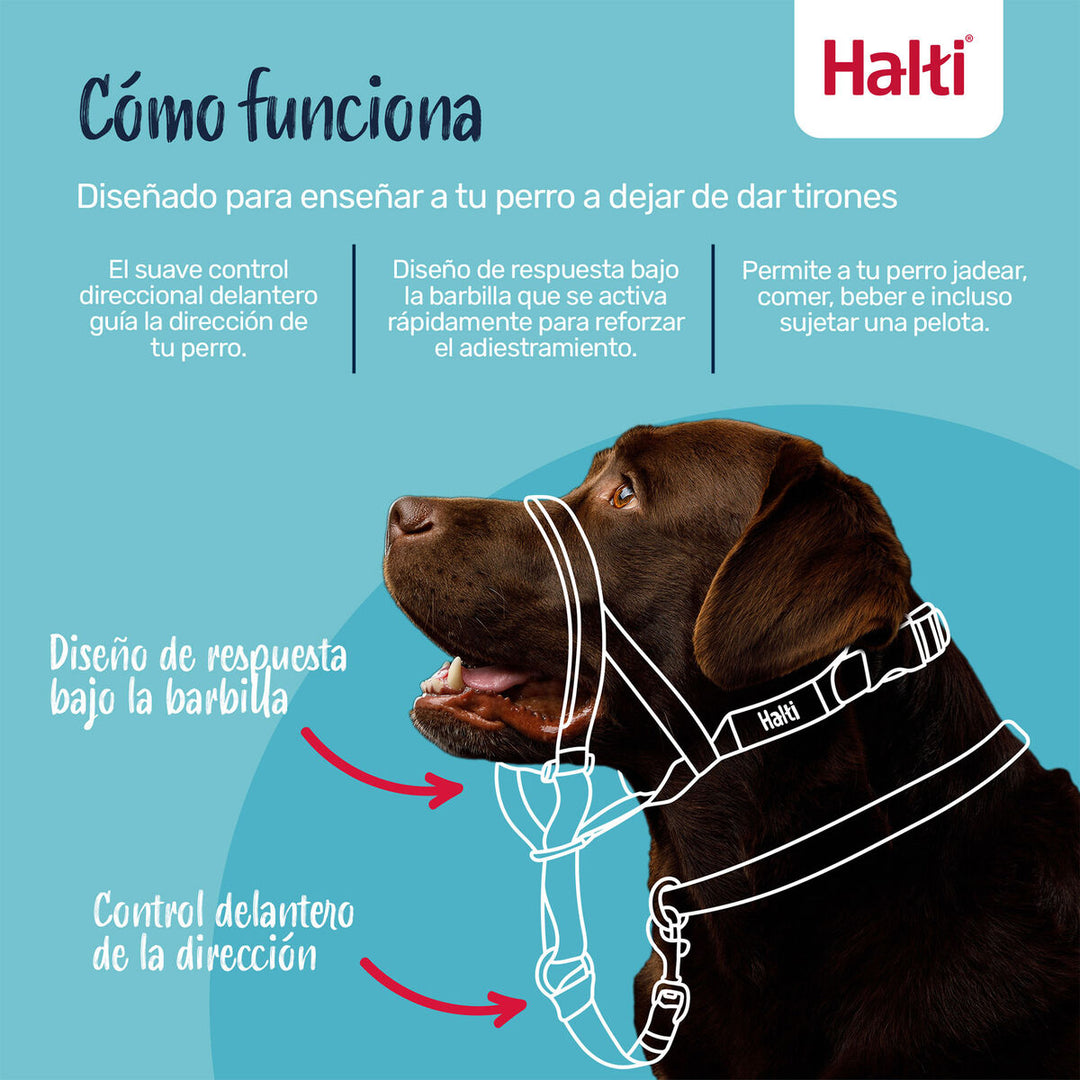 V3H7FB504A8EDF6BE7BD3813C84FDCD78A0R7523549P6