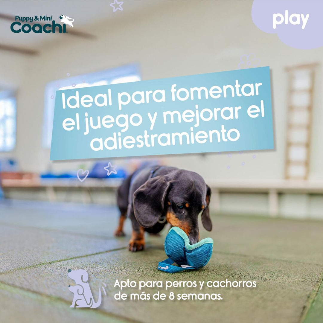 V4HDDDEDAD77D66E7DFBD3714CC45FED55CR5717682P4