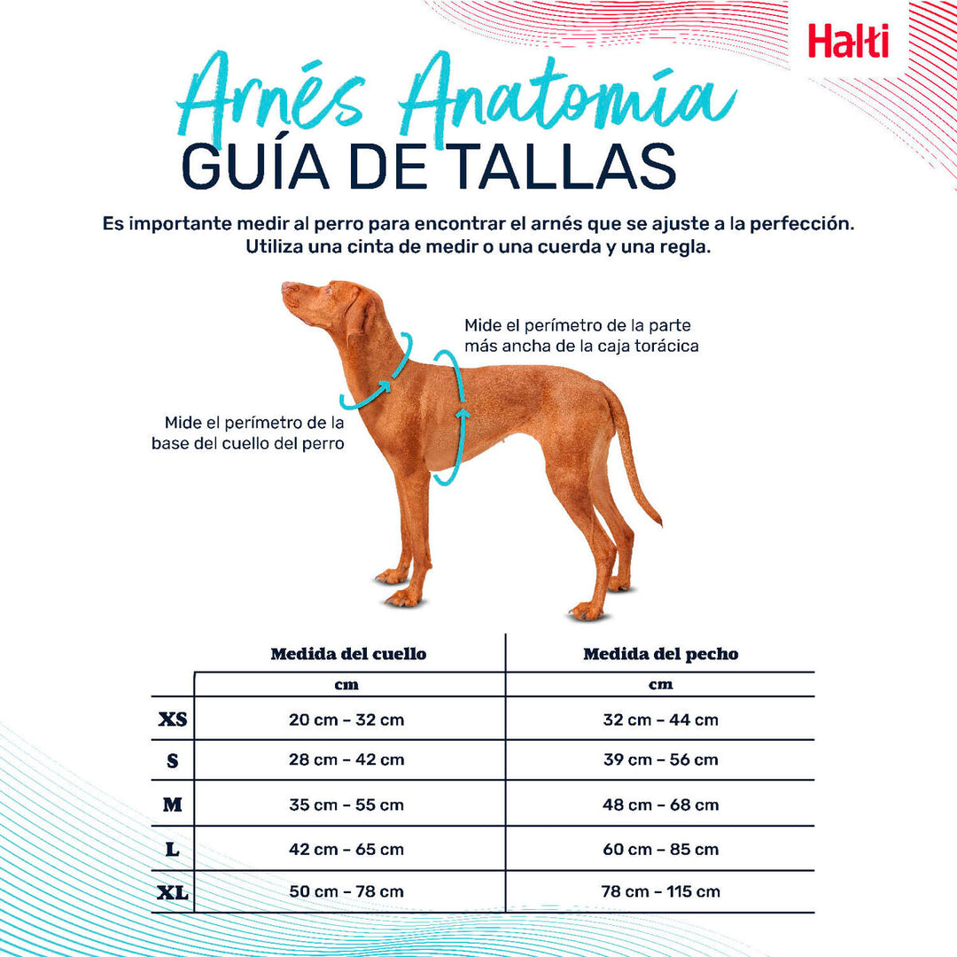 V5H490C5ADF52EDB8C97AF91BDBA83226A9R5328470P4