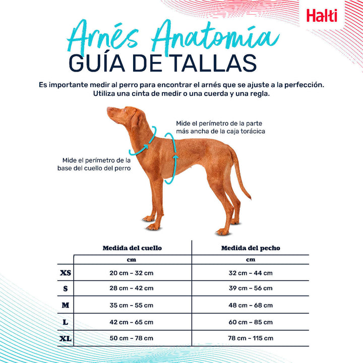 V5H490C5ADF52EDB8C97AF91BDBA83226A9R5328470P4