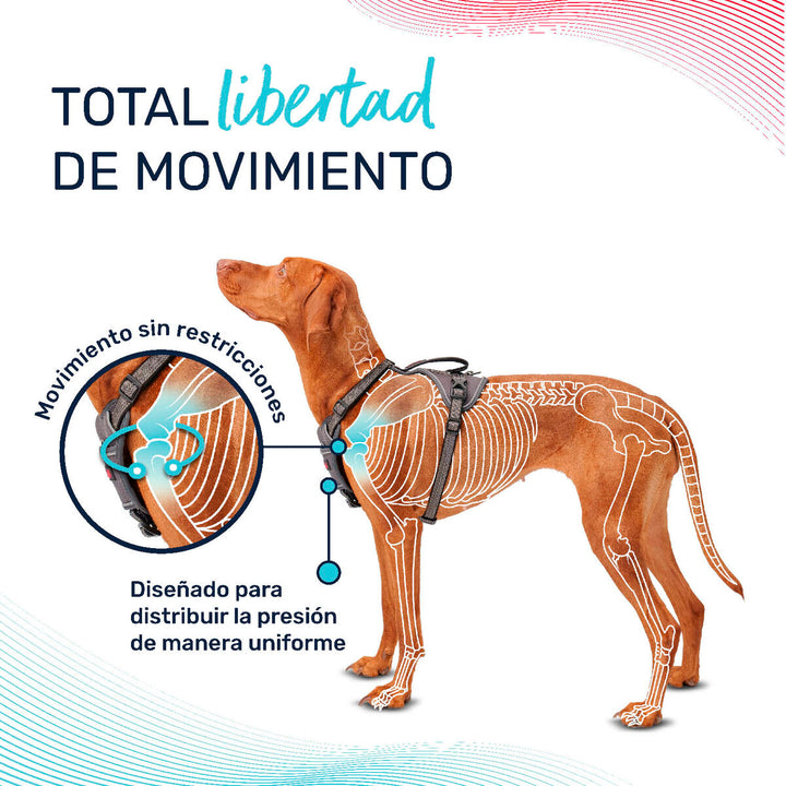 V5H8A088F8E7C13599648FCA158643AA1C2R5328513P6