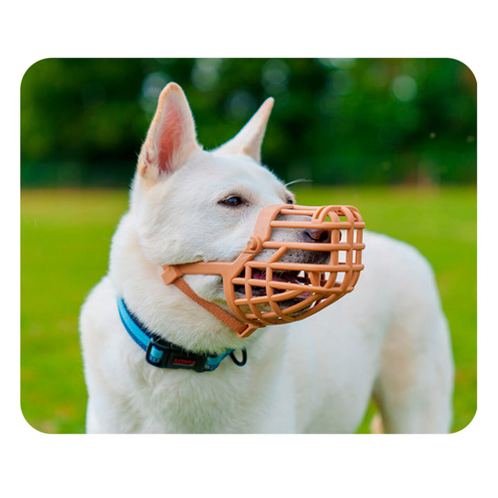 V5H5322E914104E65967131FFFF251D4662R5327530P3