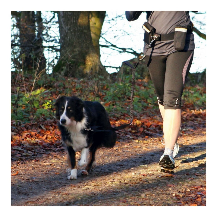 V7H0881DD7966D60C98A5877B9CD4A804AAR4034499P2