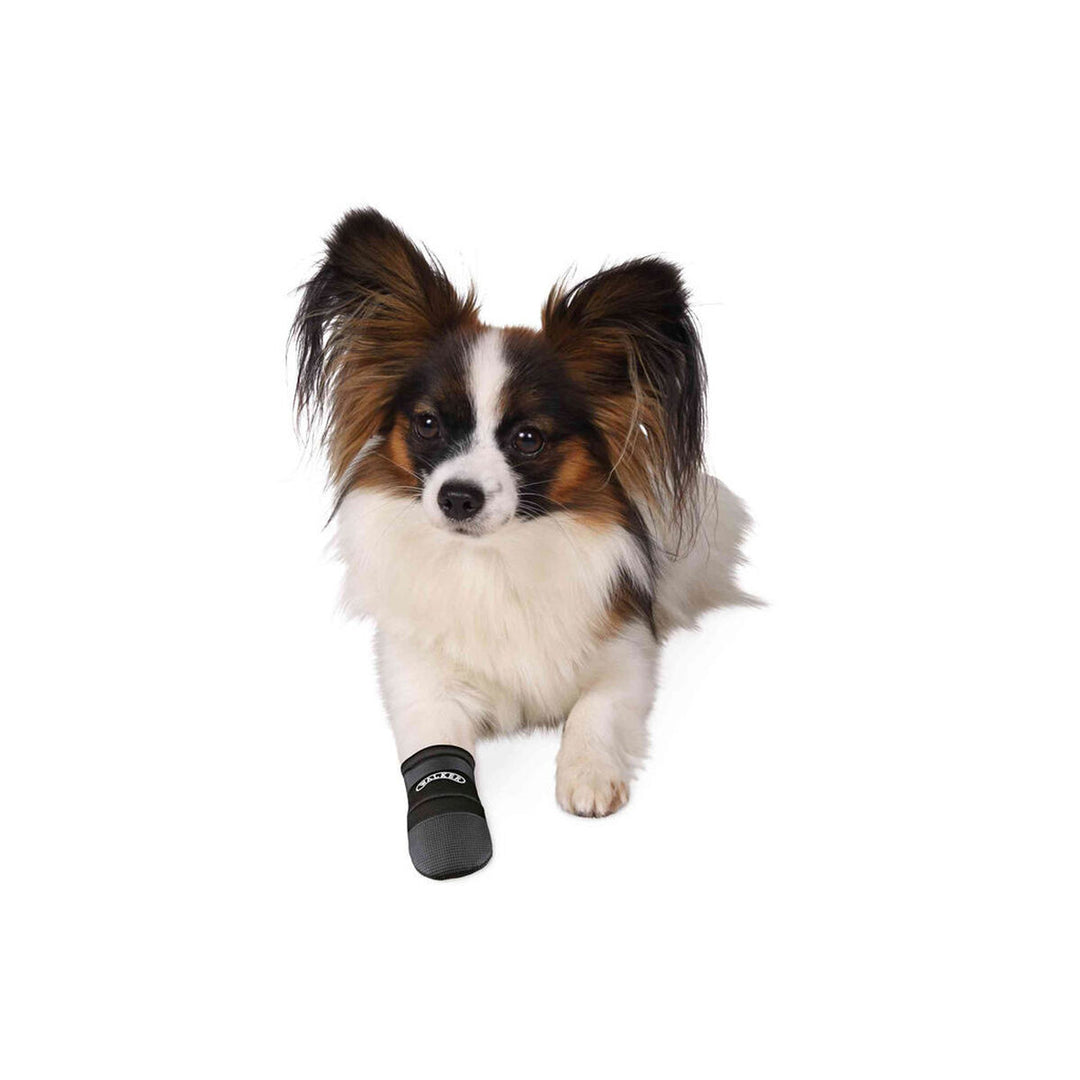 V4H06DF7C079ACC00966AFAA5AA969C3464R7440607P3