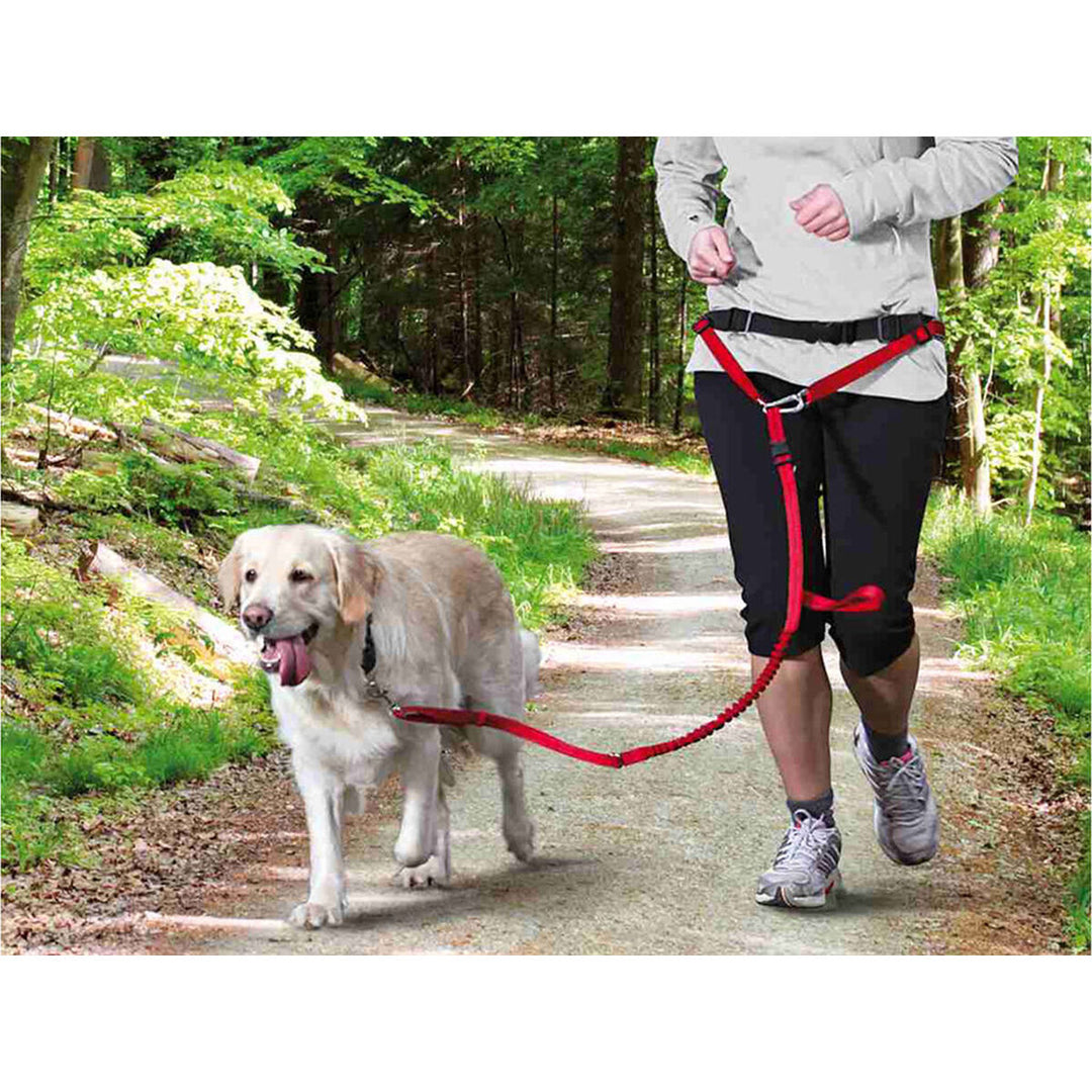 V6H67CB7F343EFC9A1FD4700D9C616AF459R7442372P3