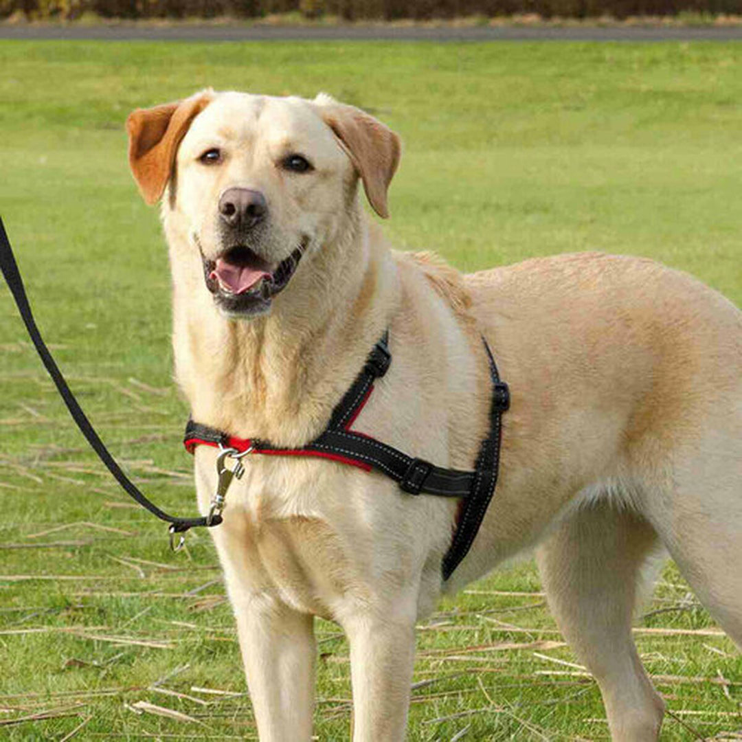 V7H0DCCEF46036F53BDC0AB316BA27FD48ER7441876P8