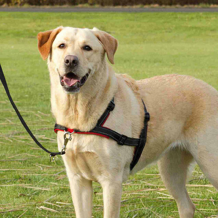 V7H0DCCEF46036F53BDC0AB316BA27FD48ER7441876P8