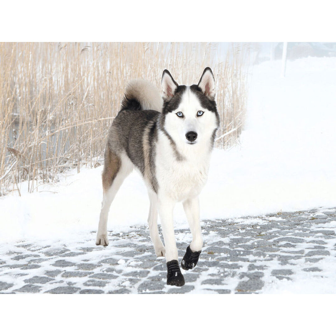 V4HA095589771909CE87CA612543B1123ACR7439897P3