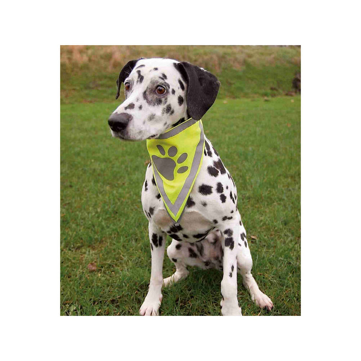 V5HE5951BB015F5BEE0BE5312A16CE52A40R7440304P3