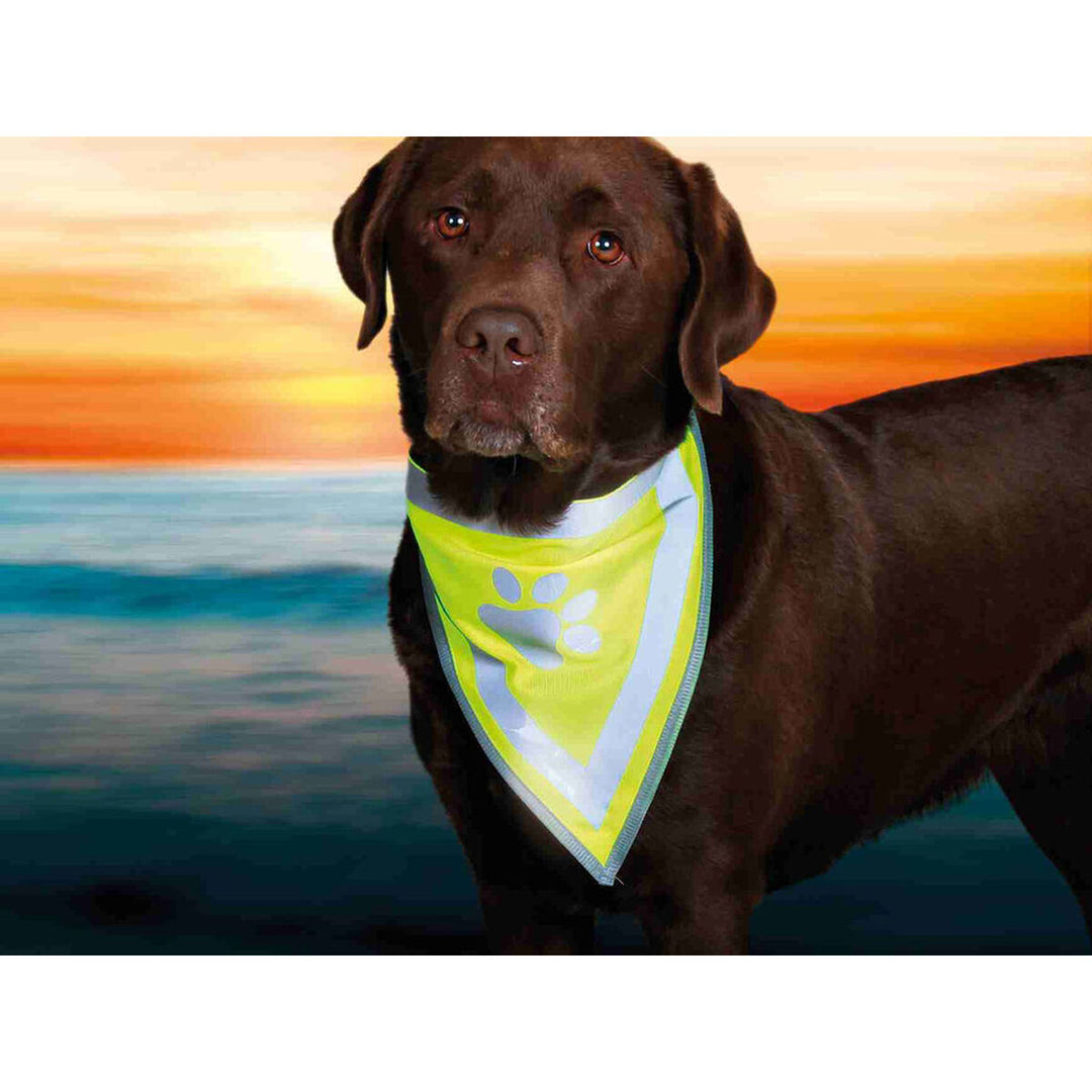 V5HD599EF489754C16536BE7CD305760F19R7440309P5