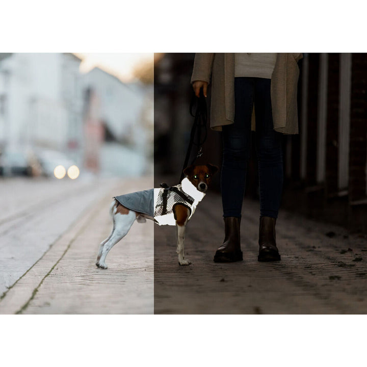 V4H7FFD28AECEC4C72CB4EB550B8531E696R7461535P10