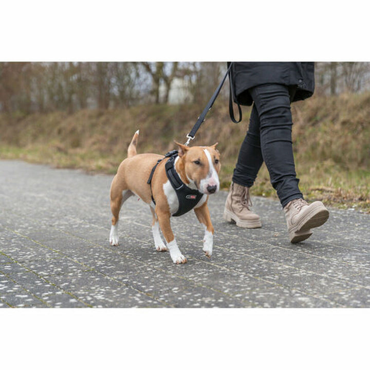 V4HA49858018ABD75D50EFE5D788059C542R7450025P6