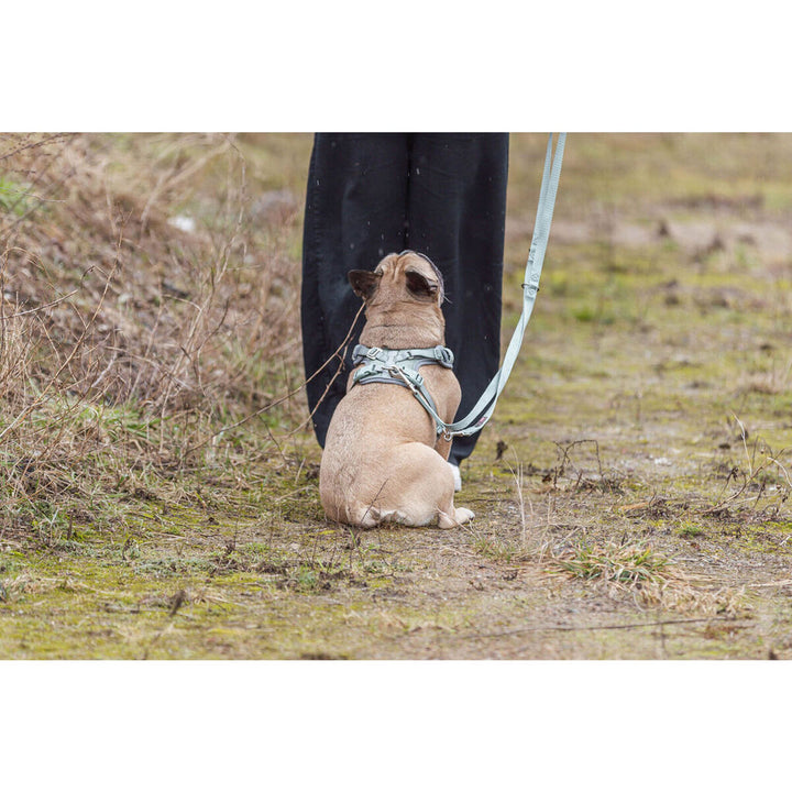 V4H9799C3F0753083B29896445A9189AFF3R7463853P5