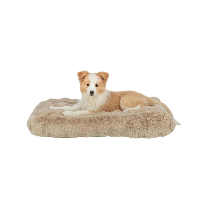 V4HCB16CE0D4824F32DF614297B8CAC6606R7463542P3