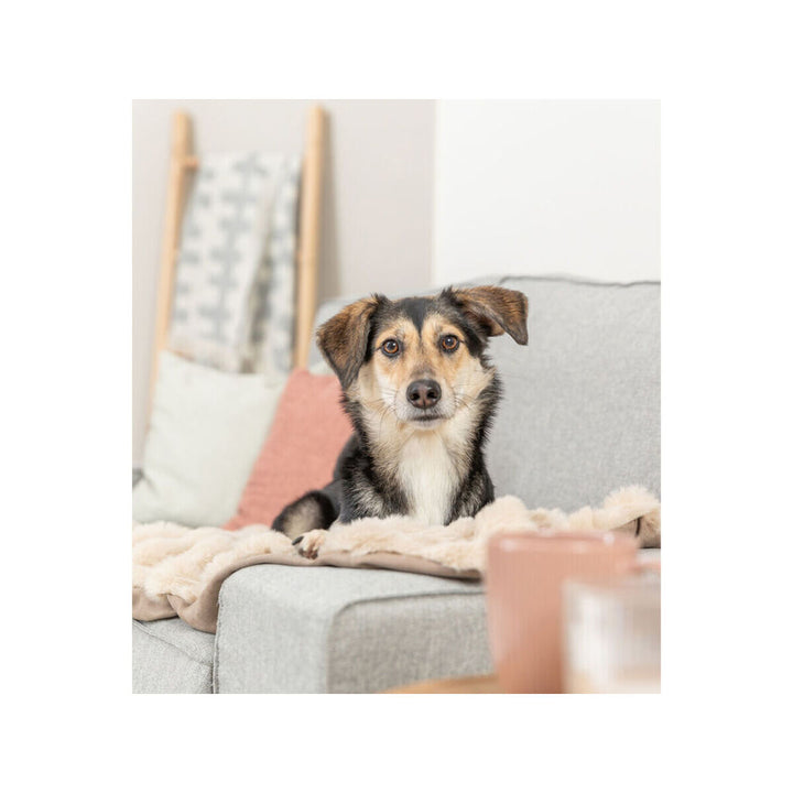 V4HEBBF6974E44047768BAEE0ED96CFBEECR7463009P3