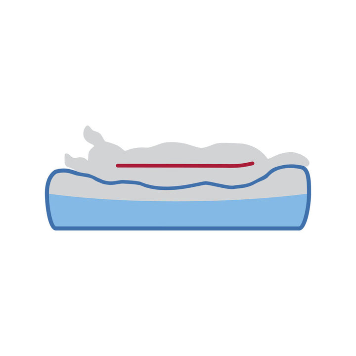 V3H8E46DB4EF613E96B8151F5979F3E64EAR7426608P7