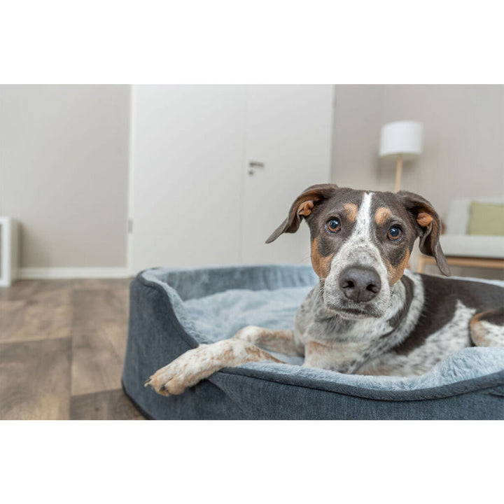 V3H6290C1518CE1D7BE8327828FE52B4861R7472352P7