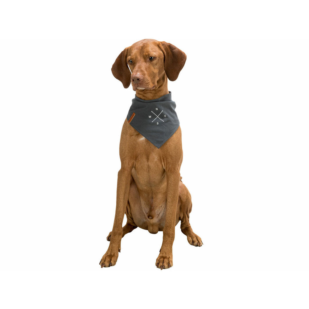 V5H697C662B17C285C01D164B6BB0245765R7453697P9