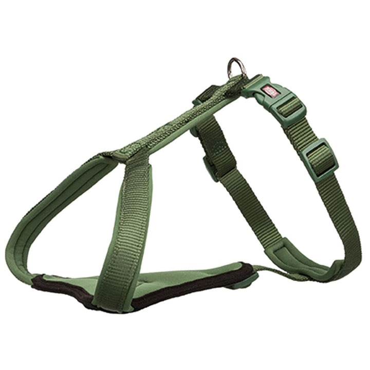 V4H3A87446EDC88C4853E5AF95033CC017CR5331012P1