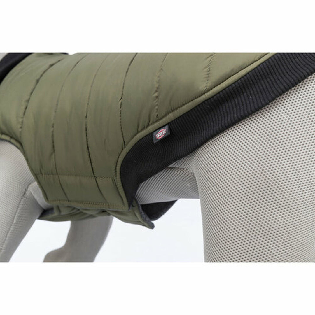 V6H31EDB1EAA4CF7AFCED8CC8B85A960501R7455167P8