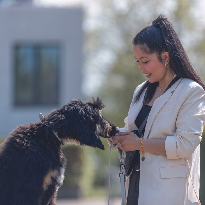 V6H23A8D68EC979CFCCE80CC2063E4545E5R5330439P6