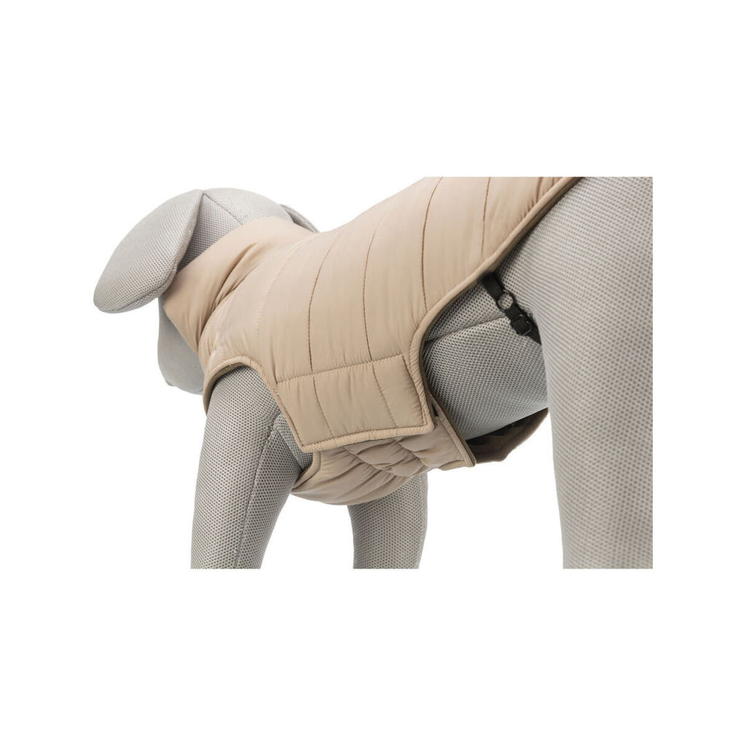 V6H81A9D8EAED44B2FE59C223A8188797B7R7461031P7