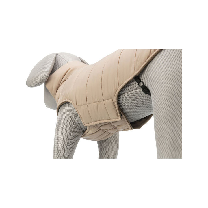 V6H81A9D8EAED44B2FE59C223A8188797B7R7461031P7