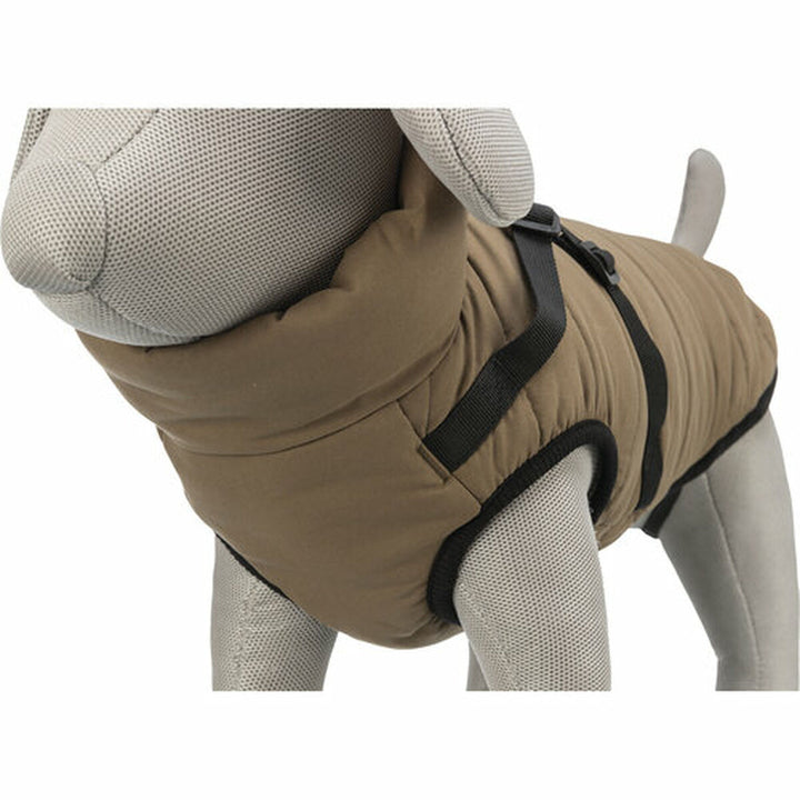 V5H7719D91050448767578778C701964218R7453887P10