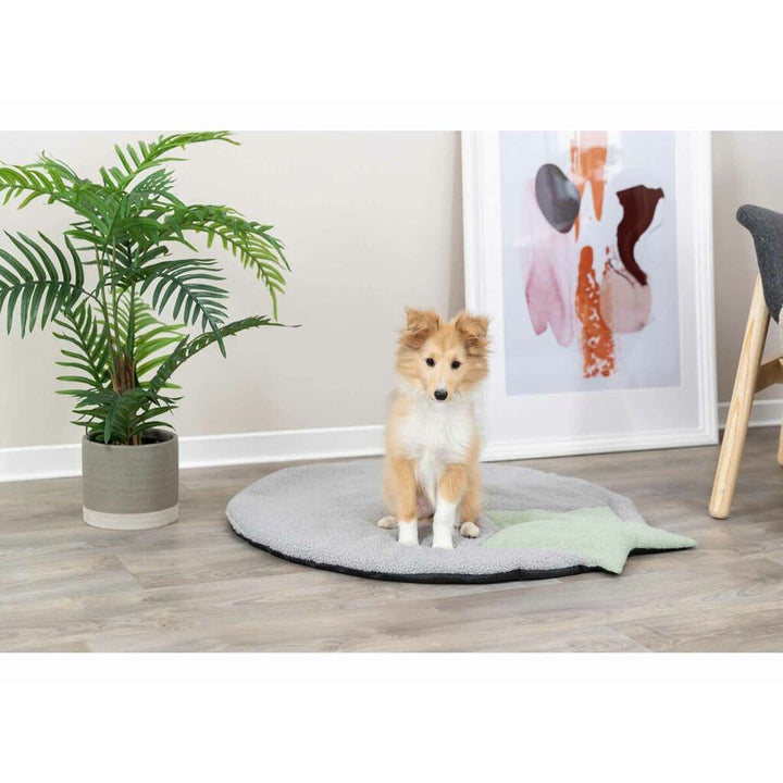 V6H759F8DA64B7DEA4C9BA1C999FB07AC4AR7446972P7