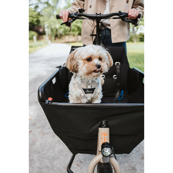 V4H968755901F7FB071EEBE55E10377361ER5575621P7