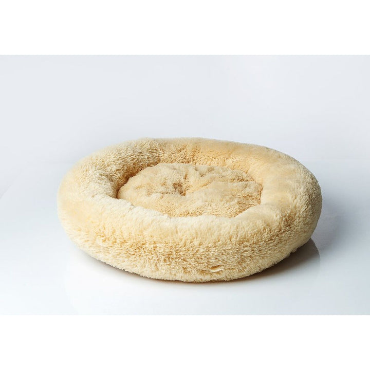 V7H46C12686F62D40DBB441B60E77C05649R6426227P2