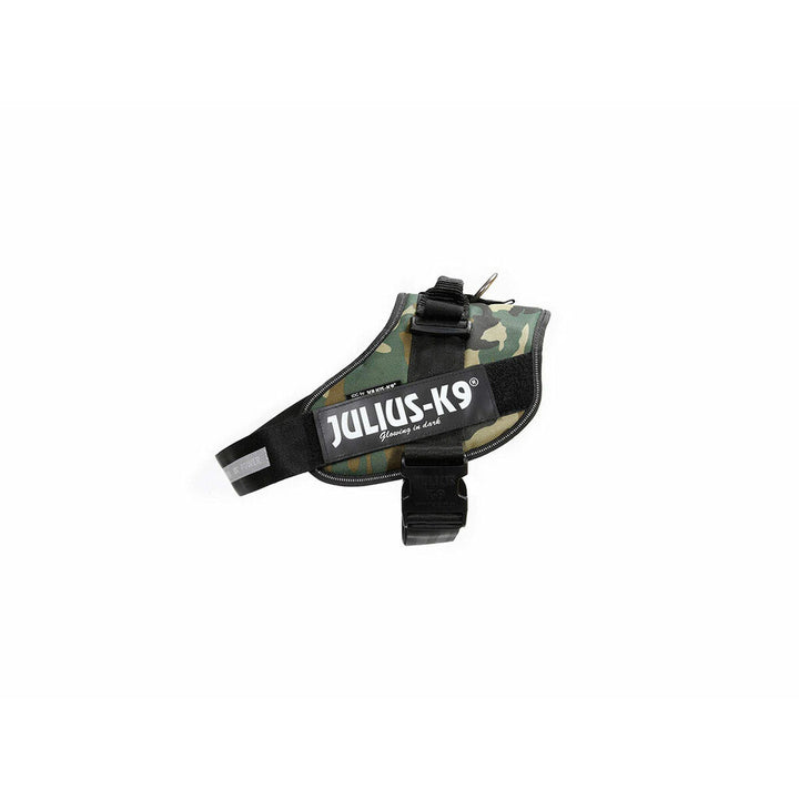 V5H667C28779E9338063775C392B1F98415R7451518P1