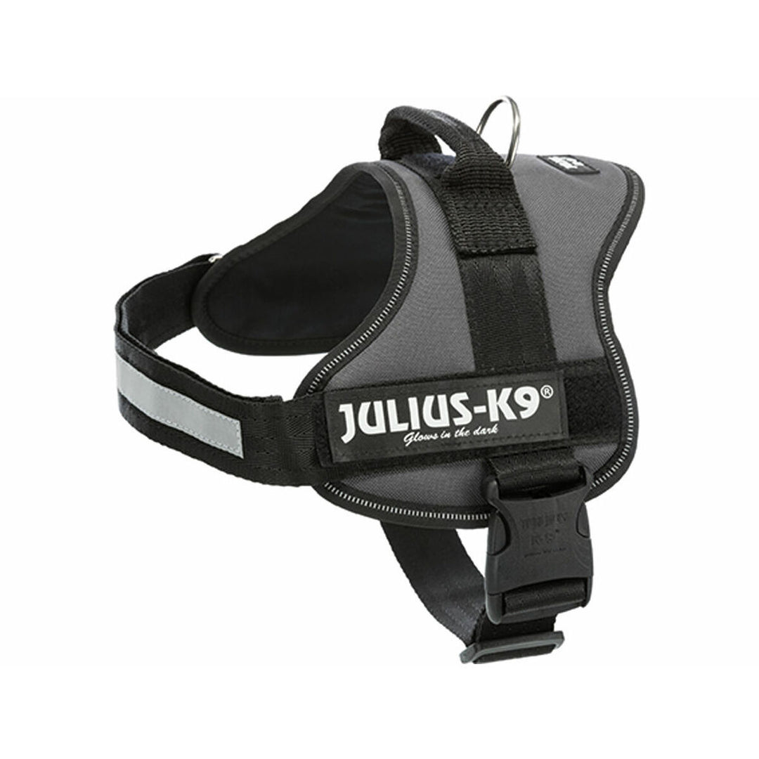 V6HC5CA5F7B2904AA1D841AF830C3385206R7454537P10