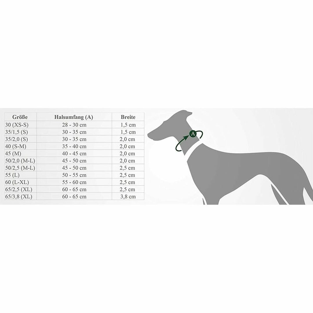 V10HABD9AD281D20FC527E92F2239F66E45AR4989219P2